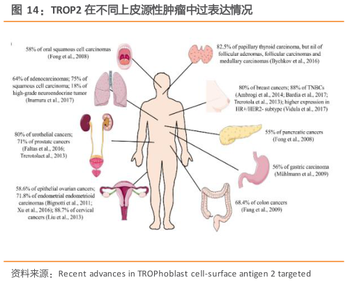 想问下各位网友TROP2 在不同上皮源性肿瘤中过表达情况