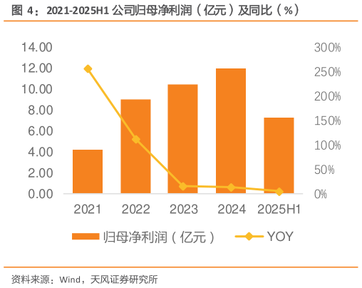 你知道2021-2025H1 公司归母净利润（亿元）及同比（%）