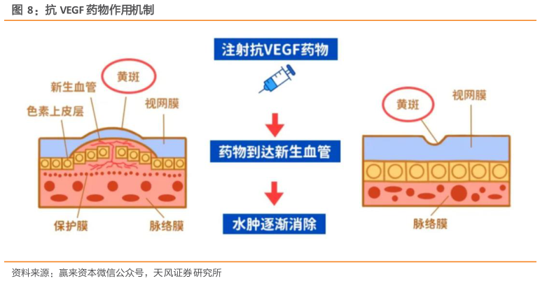 如何才能抗 VEGF 药物作用机制