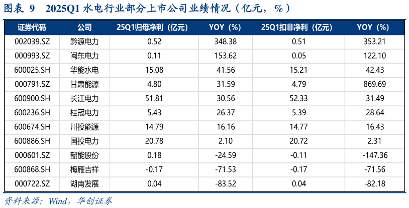 咨询大家2025Q1 水电行业部分上市公司业绩情况（亿元，%）?