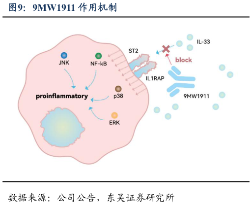 一起讨论下9MW1911 作用机制