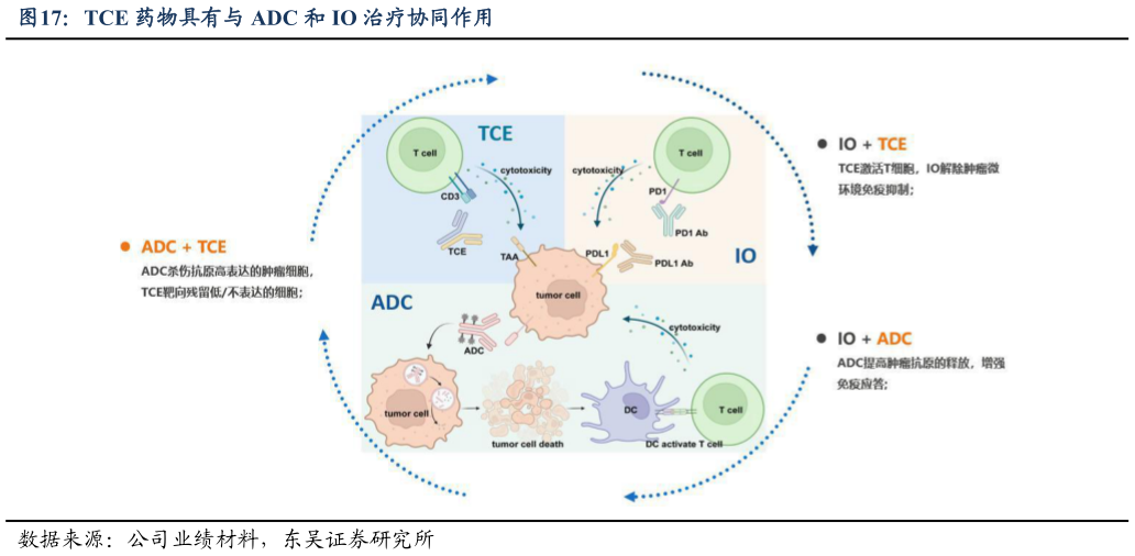 怎样理解TCE 药物具有与 ADC 和 IO 治疗协同作用