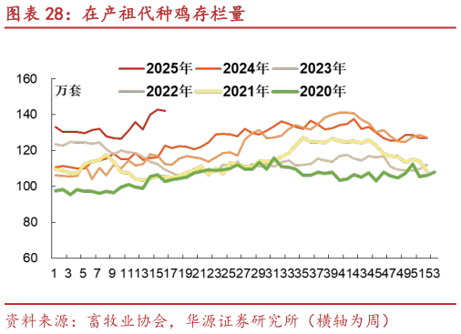 谁能回答在产祖代种鸡存栏量?