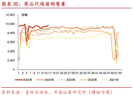各位网友请教一下商品代鸡苗销售量?