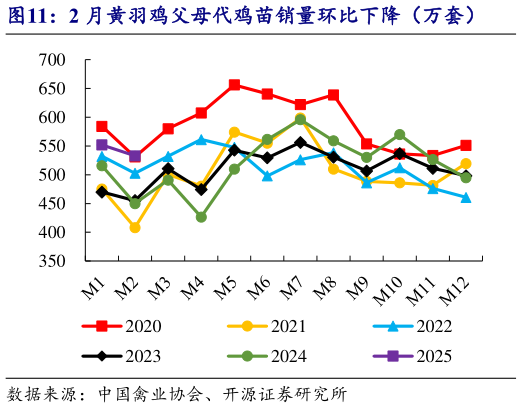 如何看待2 月黄羽鸡父母代鸡苗销量环比下降(万套)?