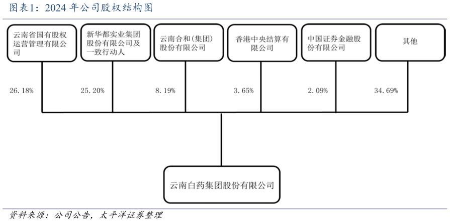 谁知道2024 年公司股权结构图