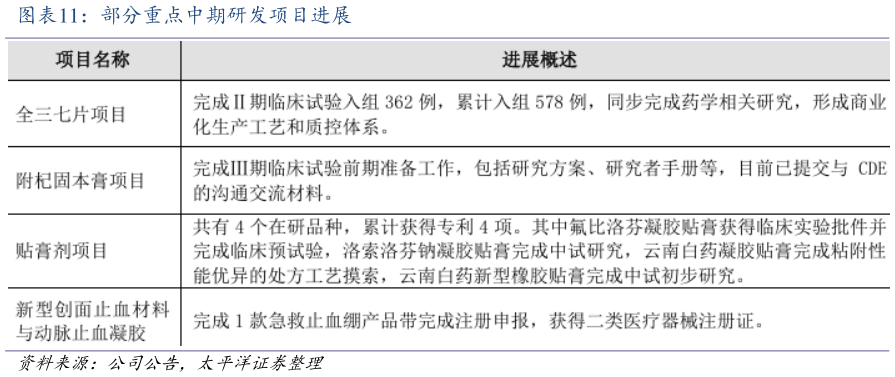 如何解释部分重点中期研发项目进展