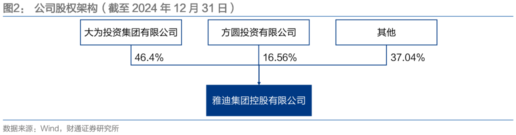如何了解公司股权架构（截至 2024 年 12 月 31 日）