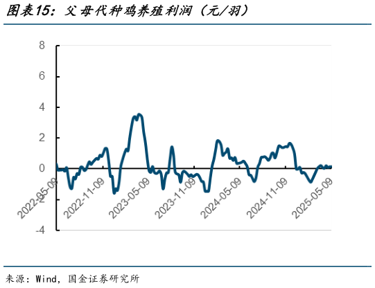 咨询大家父母代种鸡养殖利润（元羽）