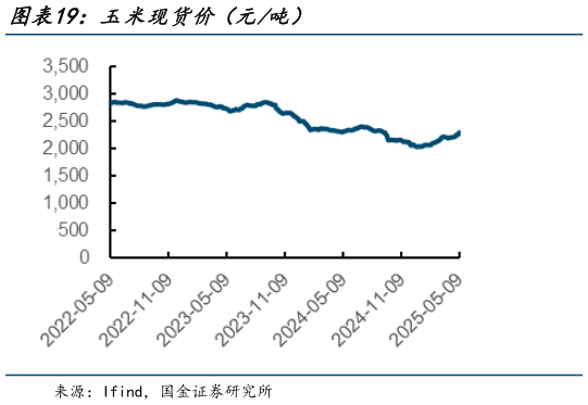 谁知道玉米现货价（元吨）