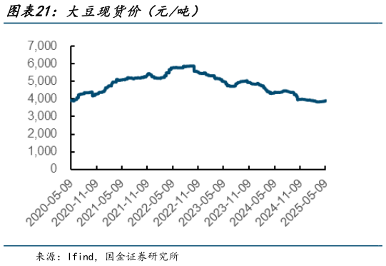 我想了解一下大豆现货价（元吨）