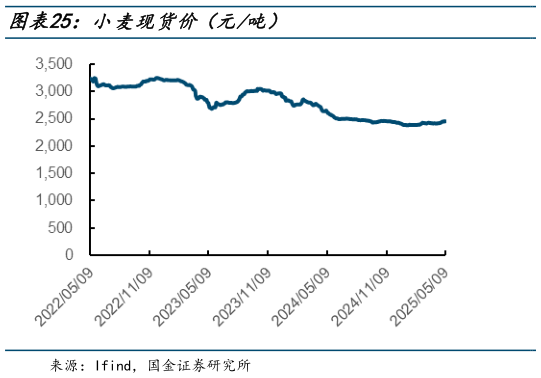 想关注一下小麦现货价（元吨）