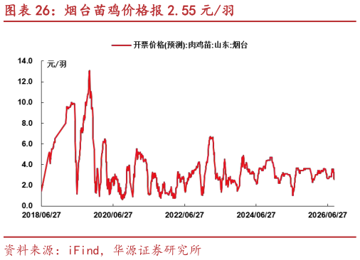 如何看待烟台苗鸡价格报 2.55 元羽
