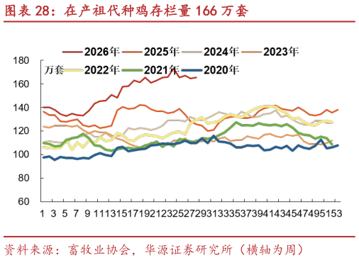 各位网友请教一下在产祖代种鸡存栏量 166 万套