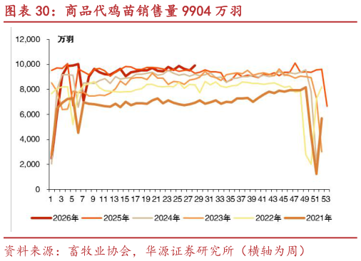 想关注一下商品代鸡苗销售量 9904 万羽