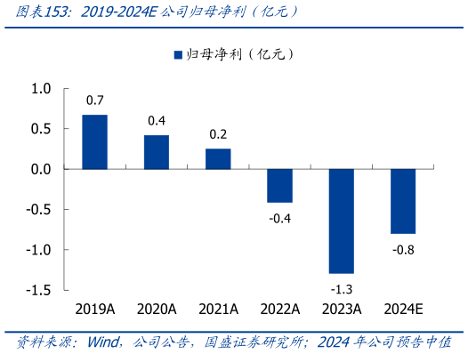 如何了解2019-2024E公司归母净利（亿元）
