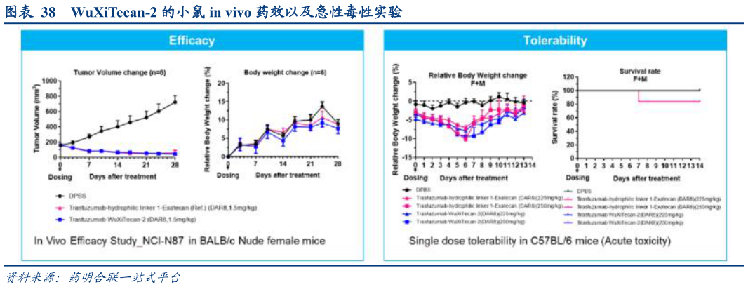 我想了解一下WuXiTecan-2 的小鼠 in vivo 药效以及急性毒性实验