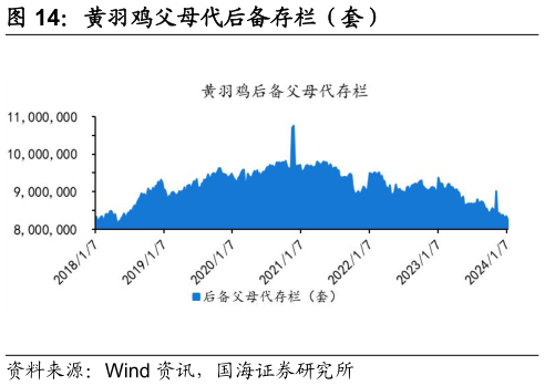 怎样理解黄羽鸡父母代后备存栏(套)?