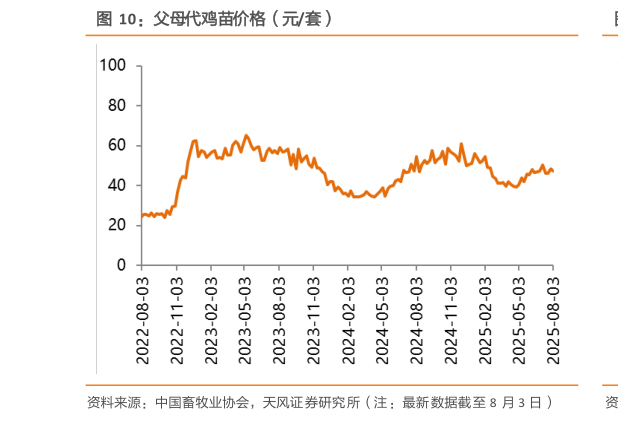 怎样理解父母代鸡苗价格（元套）?