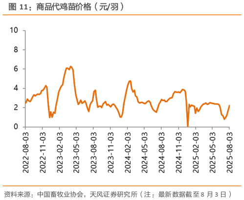 想关注一下商品代鸡苗价格（元羽）?