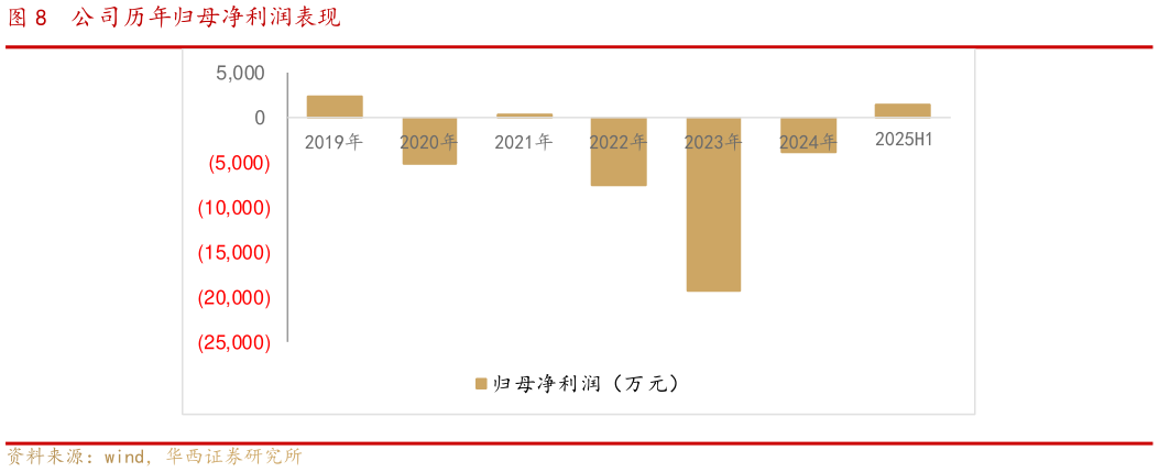 怎样理解公司历年归母净利润表现