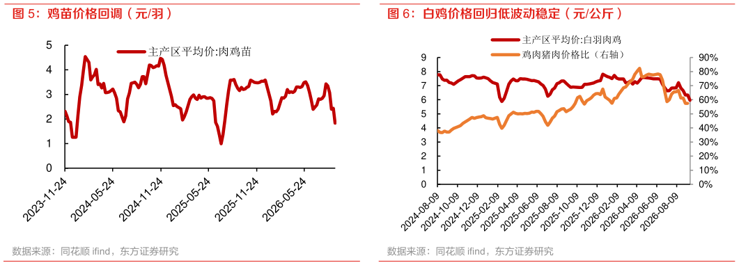 如何了解鸡苗价格回调（元羽）