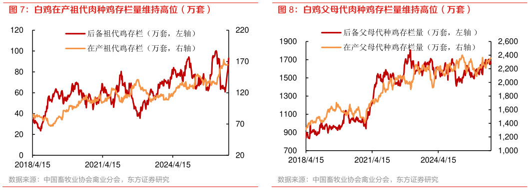 一起讨论下白鸡父母代肉种鸡存栏量维持高位（万套）