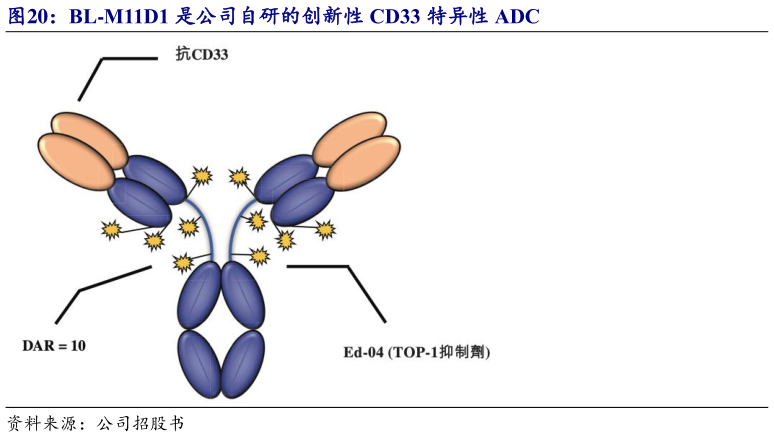 想关注一下BL-M11D1 是公司自研的创新性 CD33 特异性 ADC
