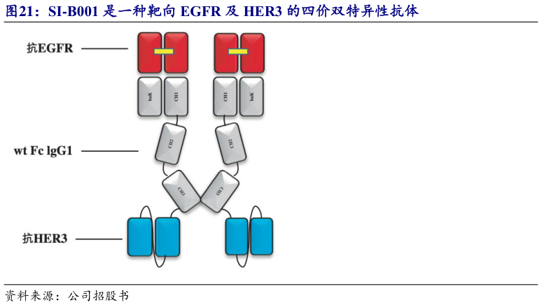 怎样理解SI-B001 是一种靶向 EGFR 及 HER3 的四价双特异性抗体