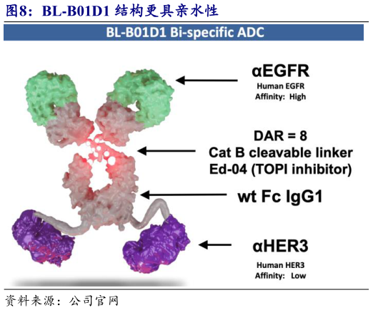 如何了解BL-B01D1 结构更具亲水性