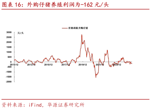 想问下各位网友外购仔猪养殖利润为-162 元头