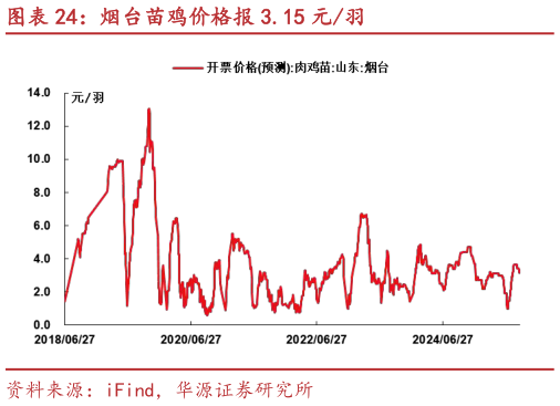 请问一下烟台苗鸡价格报 3.15 元羽