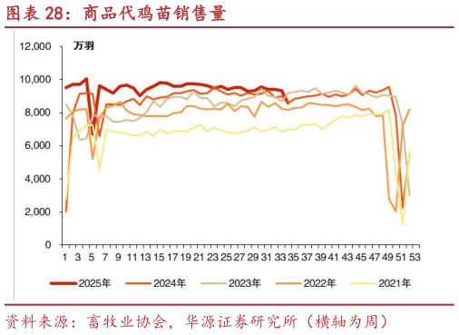 你知道商品代鸡苗销售量