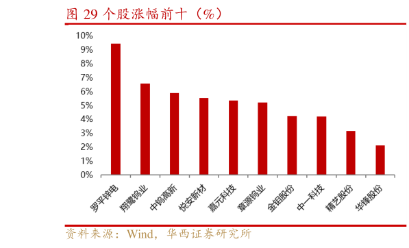 请问一下个股涨幅前十（%）