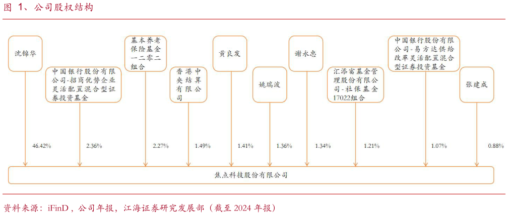 如何解释、公司股权结构?