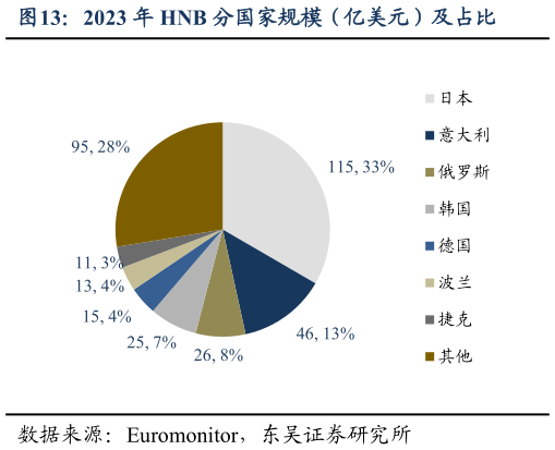 如何了解2023 年 HNB 分国家规模（亿美元）及占比