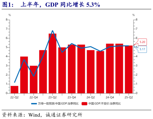 如何看待上半年，GDP 同比增长 5.3%