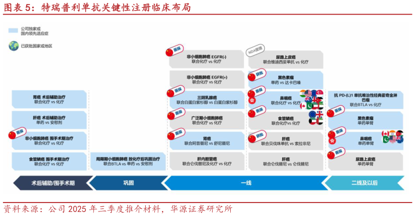 各位网友请教一下特瑞普利单抗关键性注册临床布局