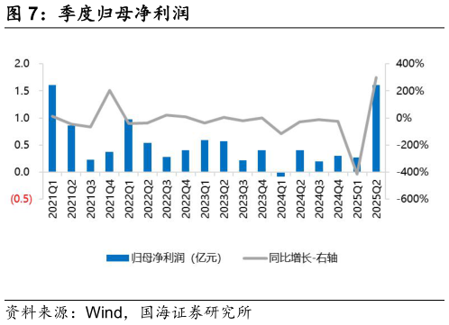 谁知道季度归母净利润