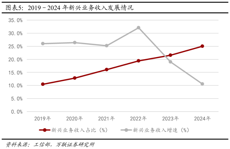 谁知道20192024 年新兴业务收入发展情况?