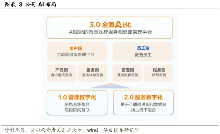 咨询大家公司 AI 布局?