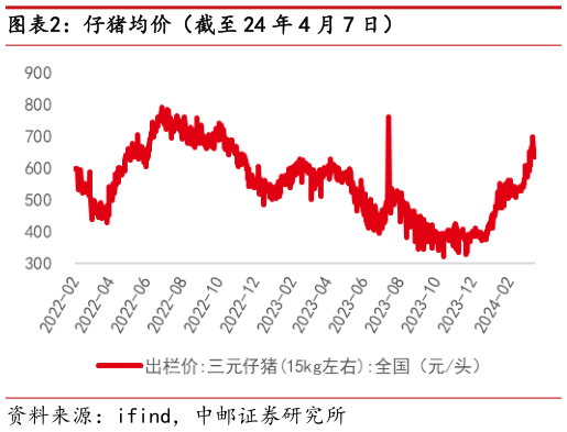 想关注一下仔猪均价(截至 24 年 4 月 7 日)?