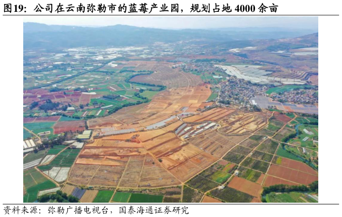 咨询下各位公司在云南弥勒市的蓝莓产业园，规划占地 4000 余亩