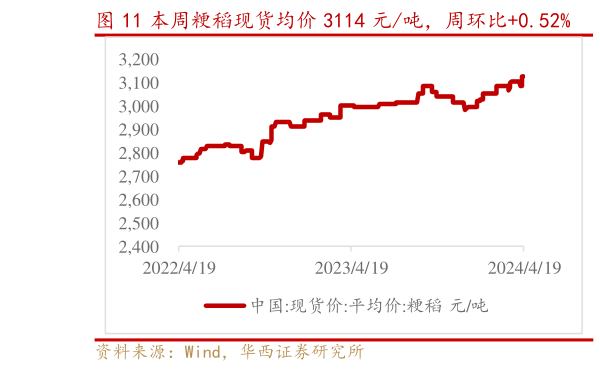 怎样理解本周粳稻现货均价 3114 元吨,周环比0.52% 本周粳稻期货价 2662 元吨,周环比持平?