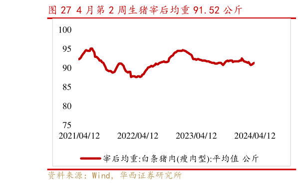 咨询下各位4 月第 2 周生猪宰后均重 91.52 公斤?
