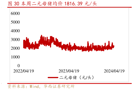 如何了解本周二元母猪均价 1816.39 元头?