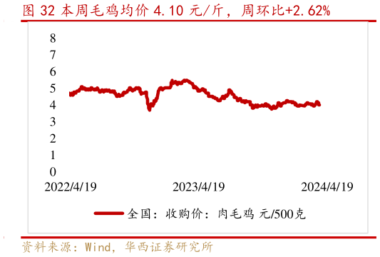 怎样理解本周毛鸡均价 4.10 元斤,周环比2.62%?