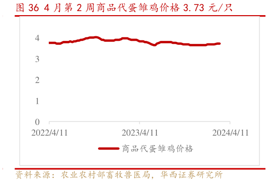 如何了解4 月第 2 周商品代蛋雏鸡价格 3.73 元只?