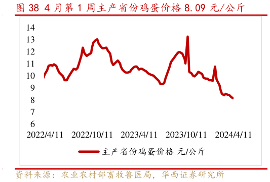 想关注一下4 月第 1 周主产省份鸡蛋价格 8.09 元公斤?