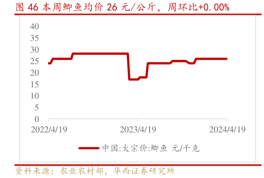 咨询大家本周鲫鱼均价 26 元公斤，周环比0.00%?